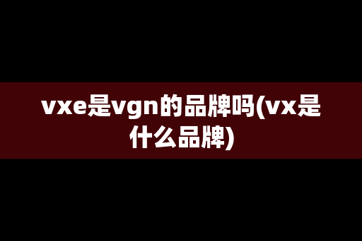 vxe是vgn的品牌吗(vx是什么品牌)